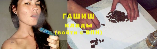 сатива Алзамай