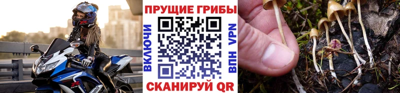даркнет сайт  Узловая  Галлюциногенные грибы Magic Shrooms 